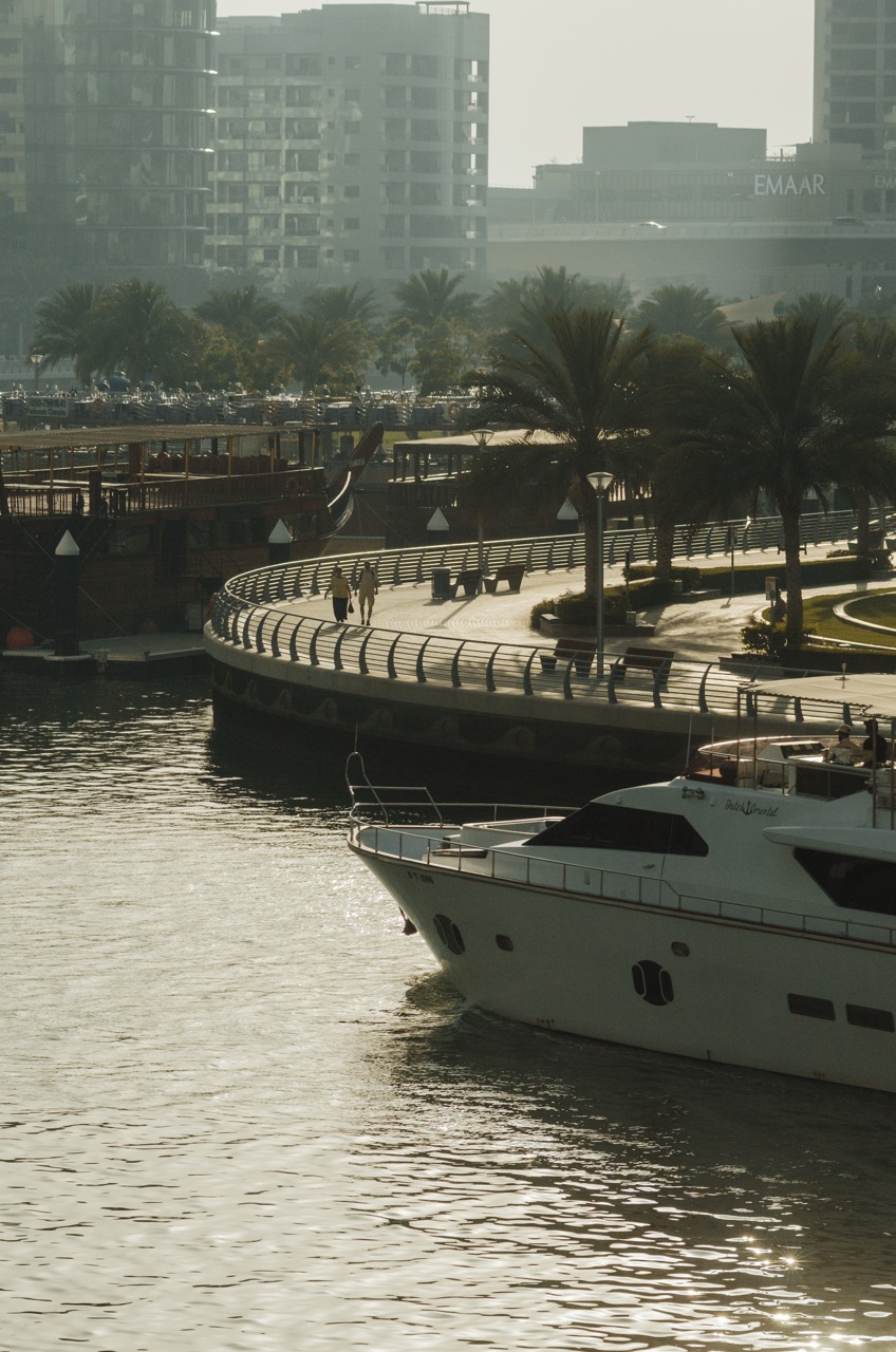 Превью Dubai 2022